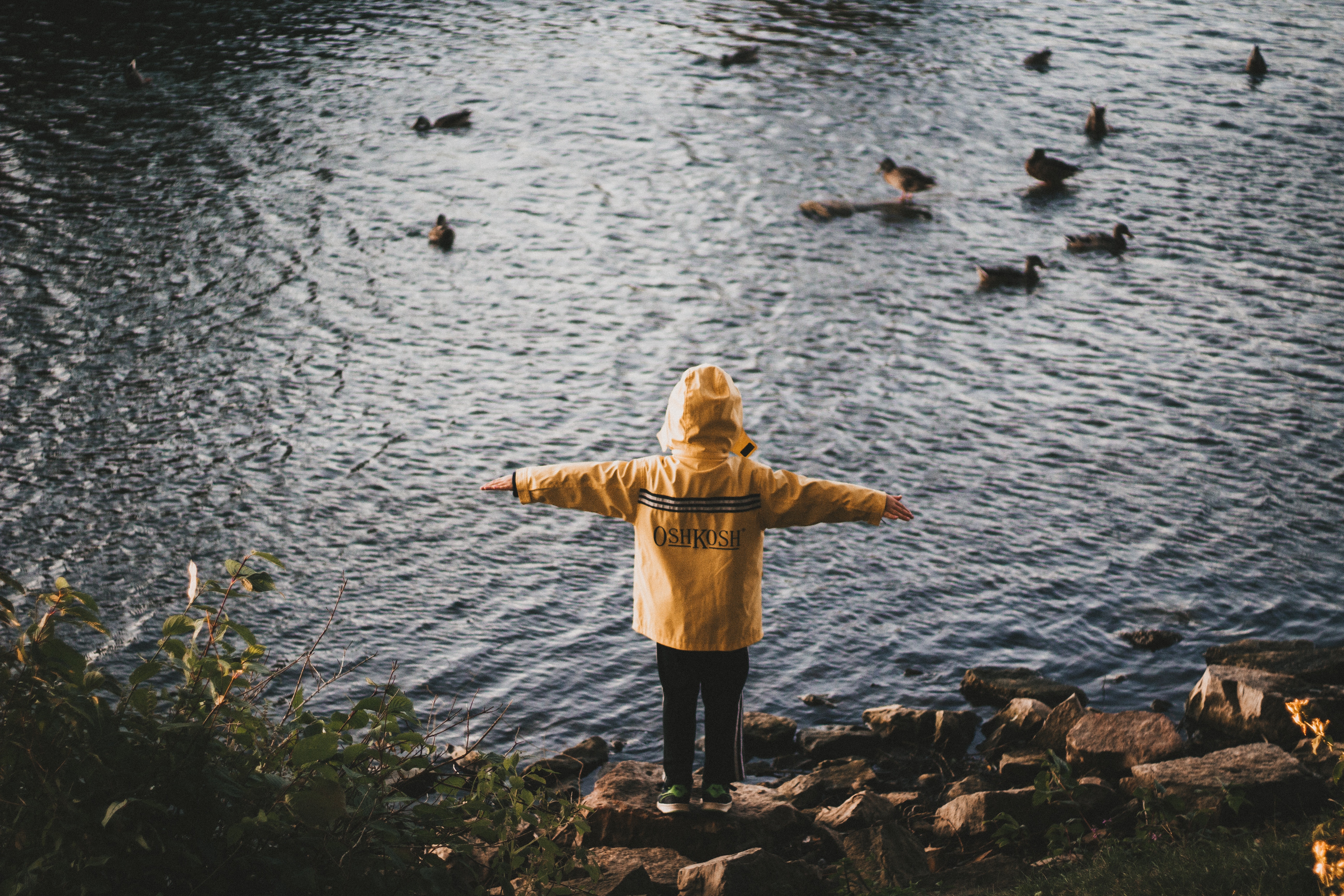 Weathering the Storm: Teach Your Kids About Hurricanes