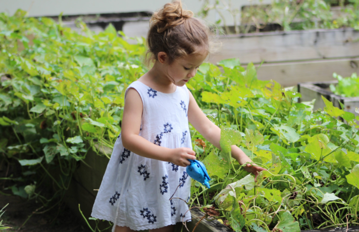 Developing a Green Thumb