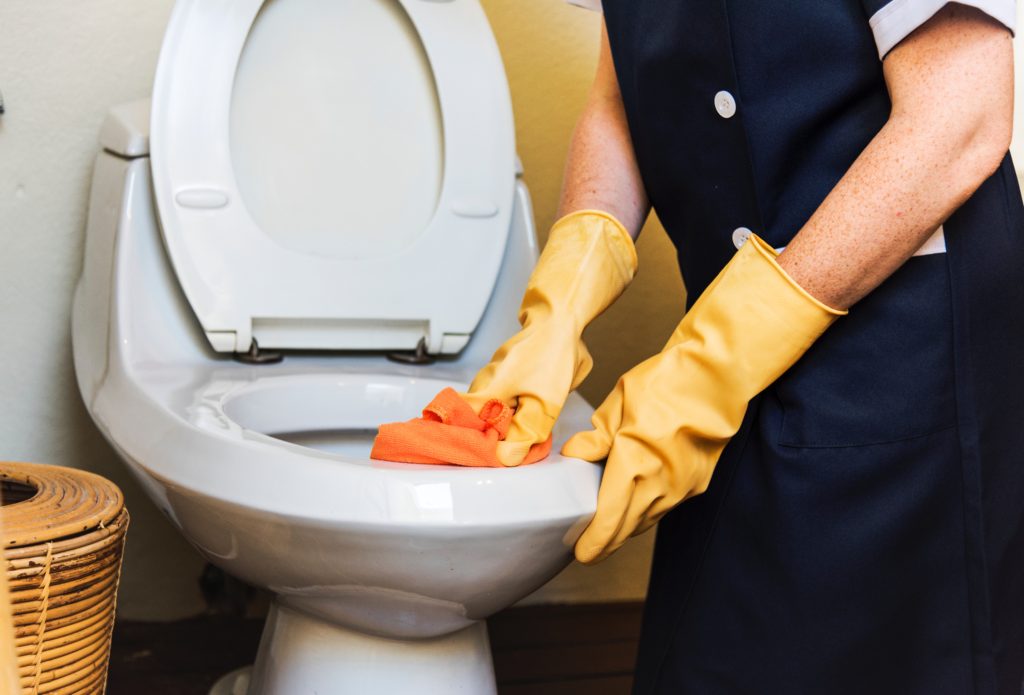 person cleaning toilet