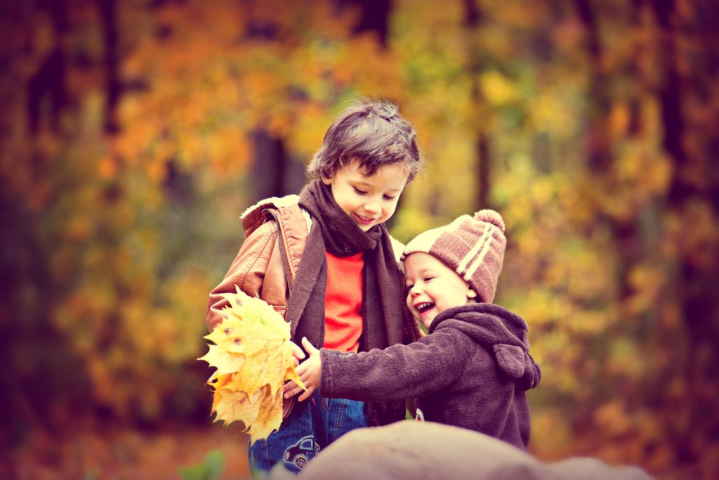 Two boys play with fall leaves with a forest in the background