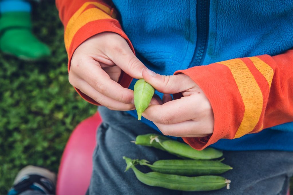 Girl holding green beans