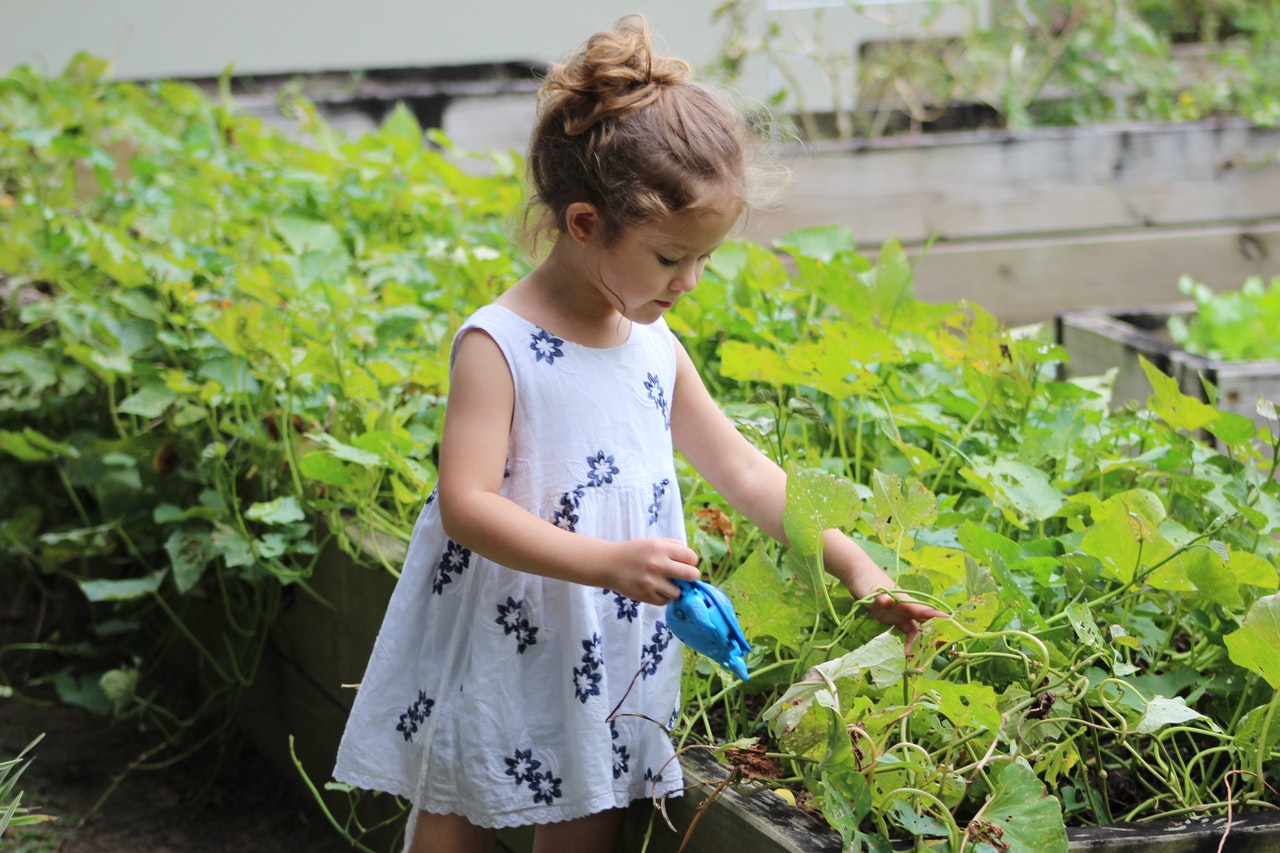 Growing a Garden