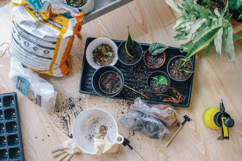 Flower pots and soil