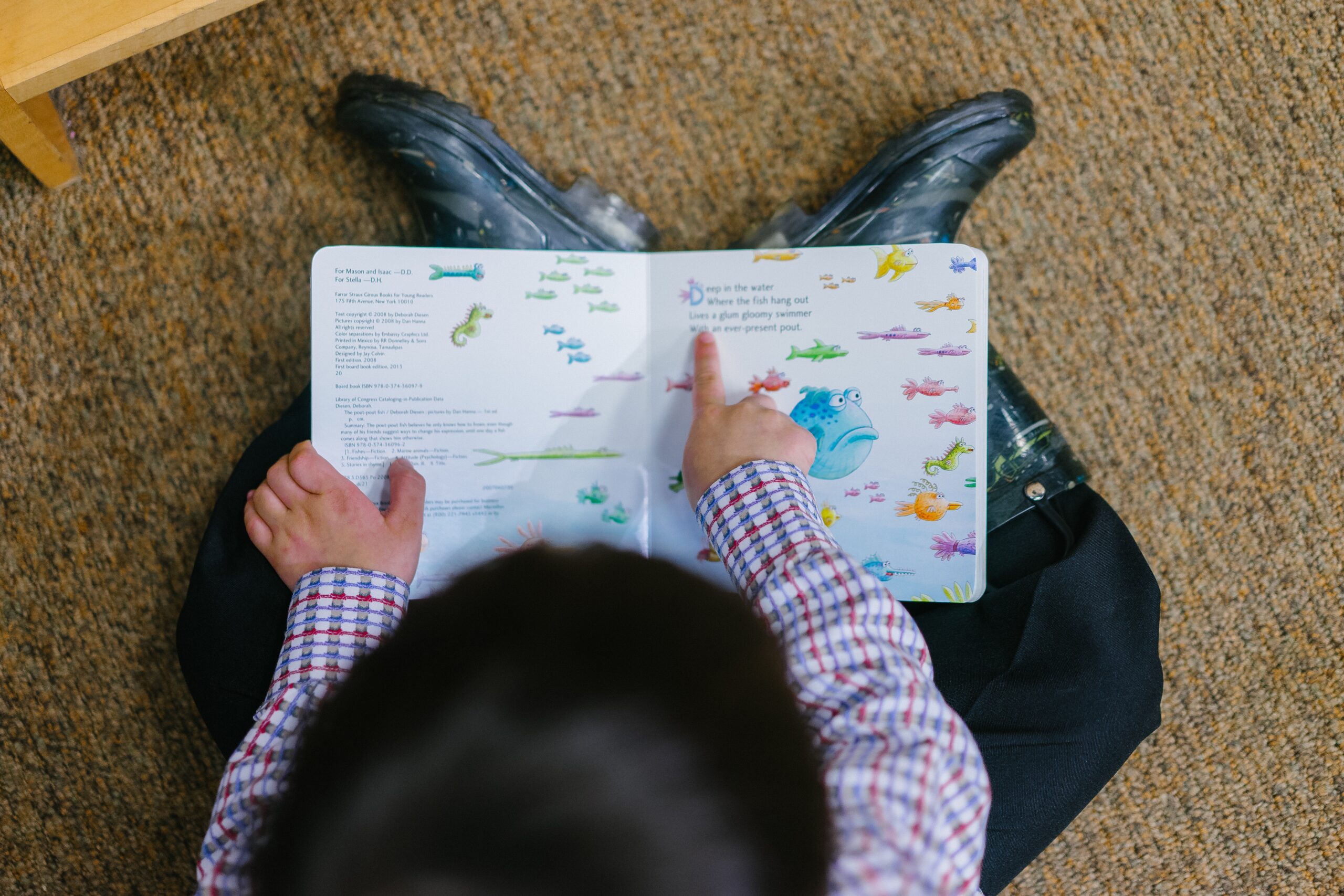 Overhead of child reading fish book