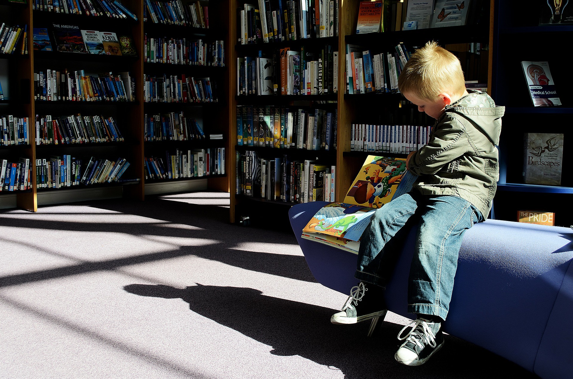 Child in library reading dinosaur book