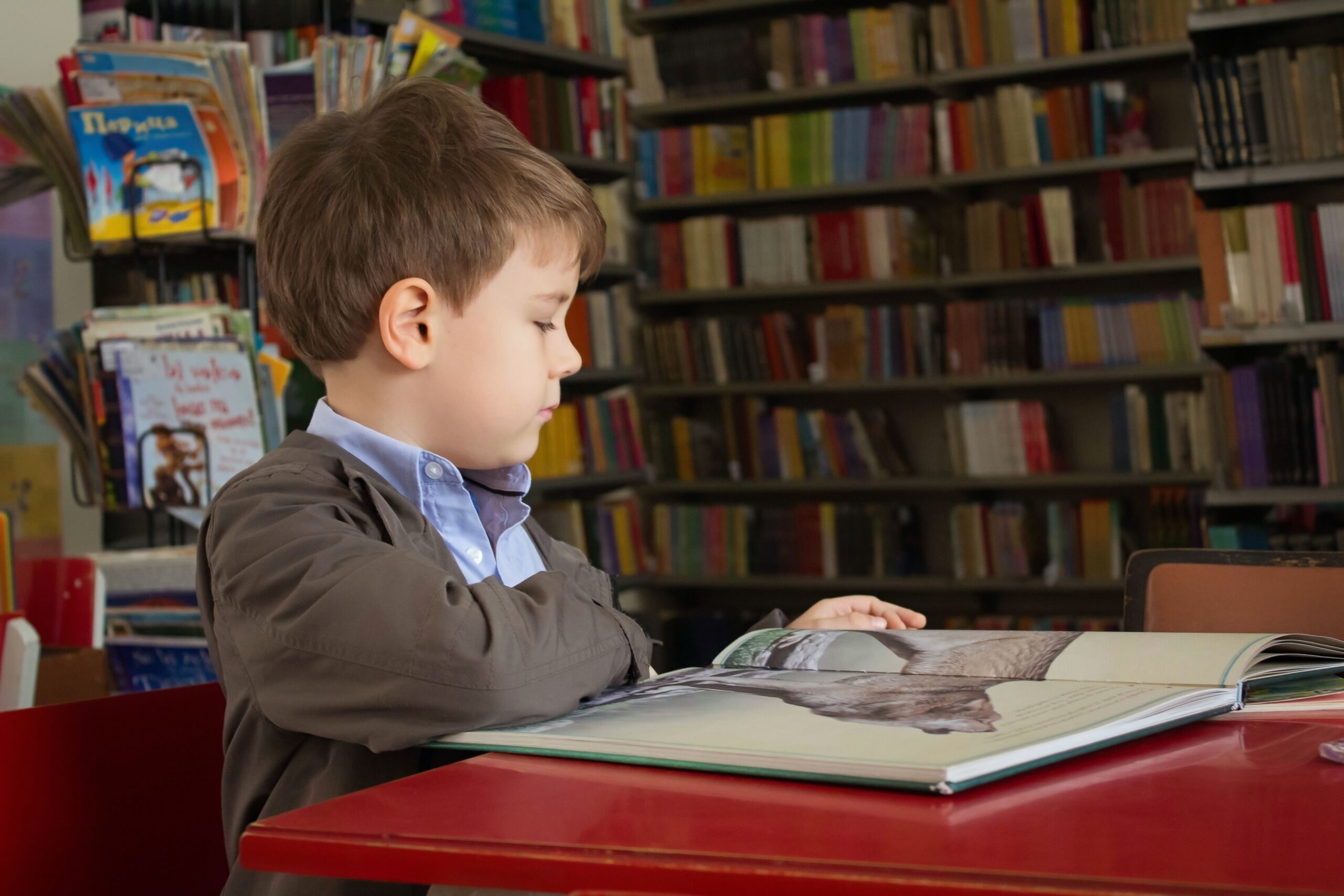 Child reading book in library zoomed in