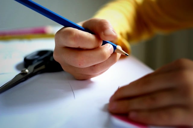 5 Tips for Helping Students Remain Organized this School Year