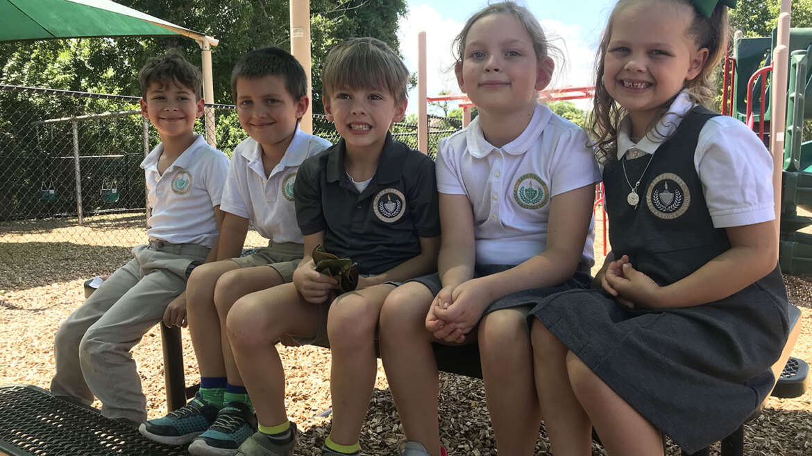 What Does a Well-Rounded Education Look Like?